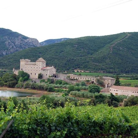 Appartamento Castell de Riudabella Vimbodi I Poblet Esterno foto