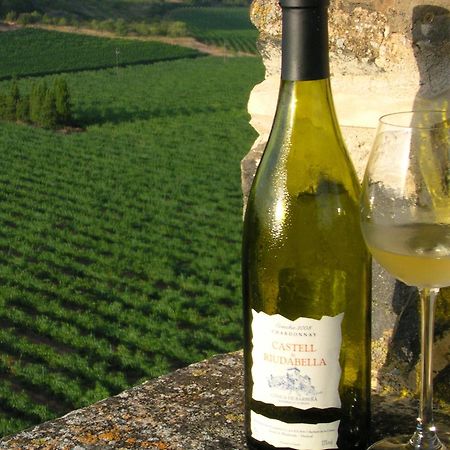 Appartamento Castell de Riudabella Vimbodi I Poblet Esterno foto