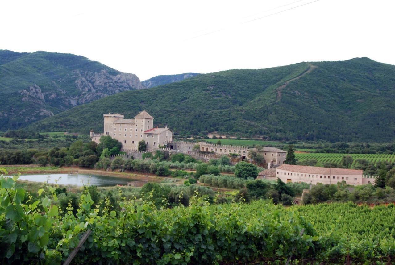 Appartamento Castell de Riudabella Vimbodi I Poblet Esterno foto
