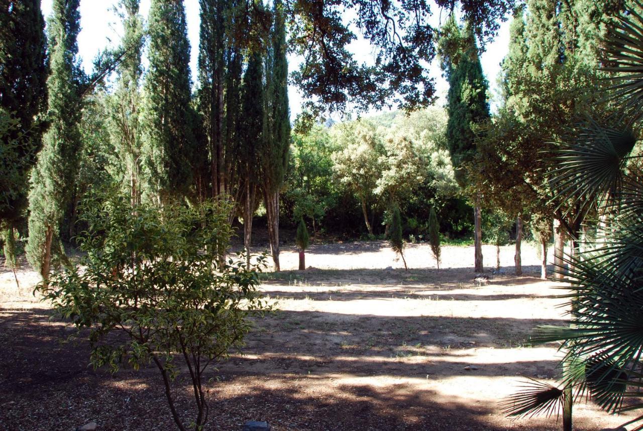 Appartamento Castell de Riudabella Vimbodi I Poblet Esterno foto
