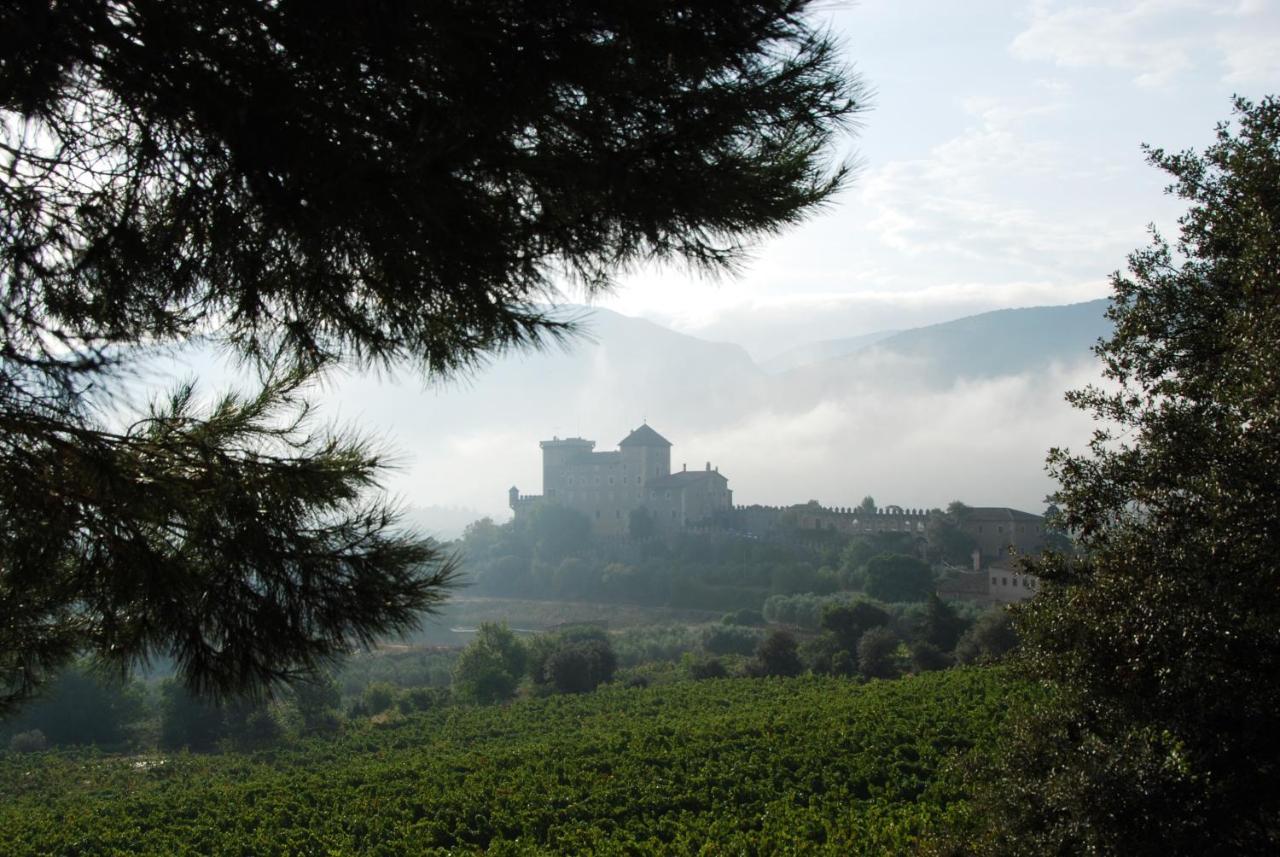 Appartamento Castell de Riudabella Vimbodi I Poblet Esterno foto
