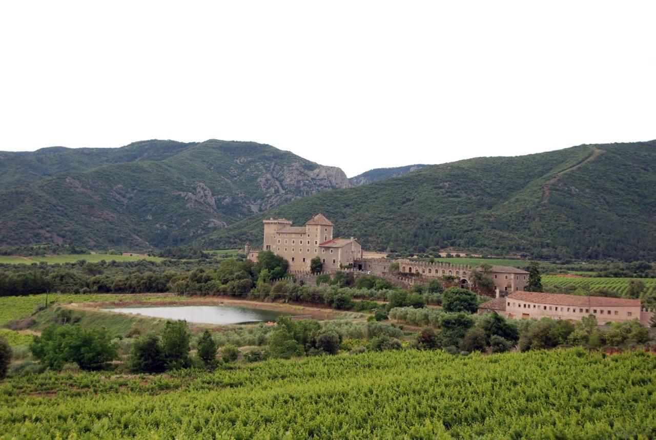 Appartamento Castell de Riudabella Vimbodi I Poblet Esterno foto