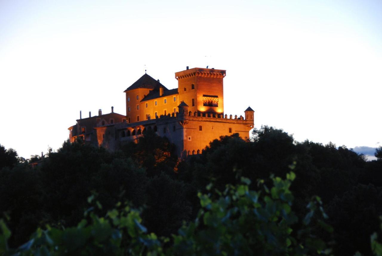 Appartamento Castell de Riudabella Vimbodi I Poblet Esterno foto