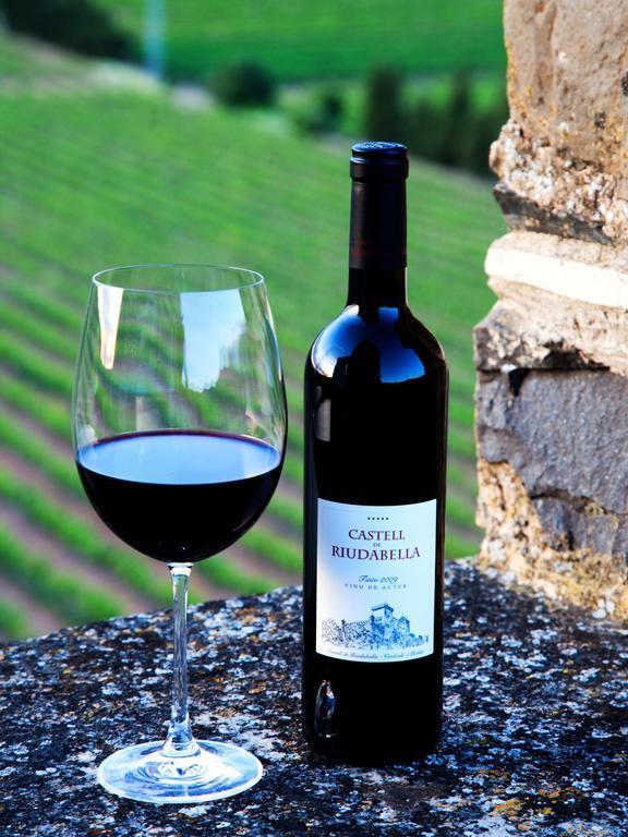 Appartamento Castell de Riudabella Vimbodi I Poblet Esterno foto