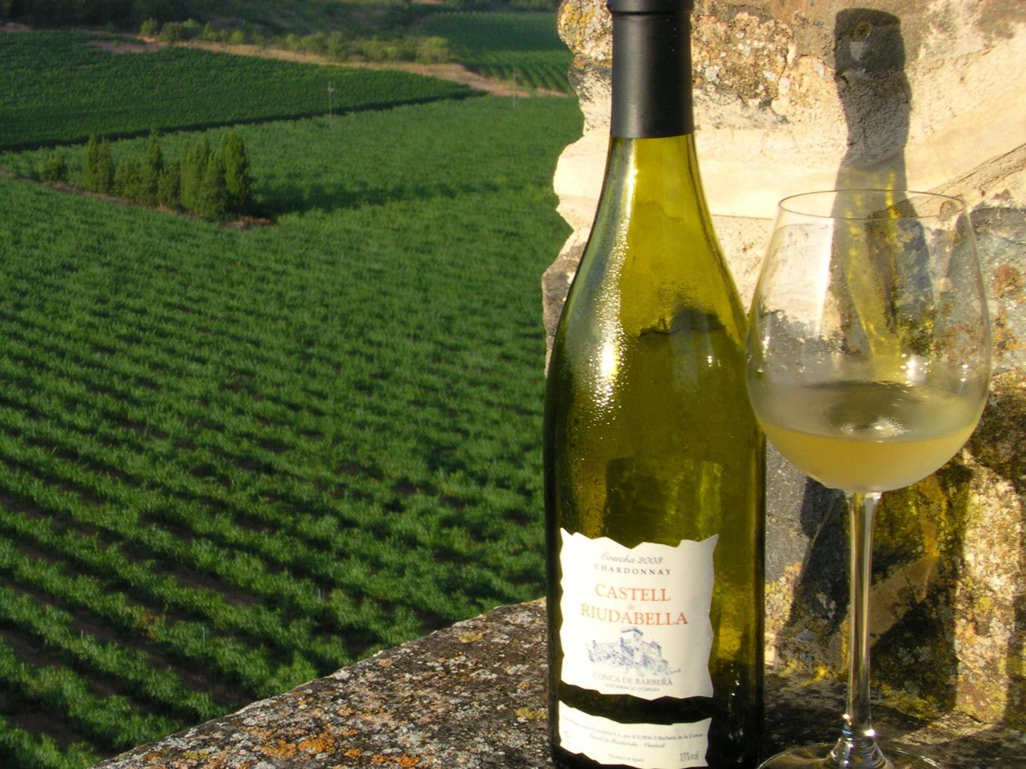 Appartamento Castell de Riudabella Vimbodi I Poblet Esterno foto