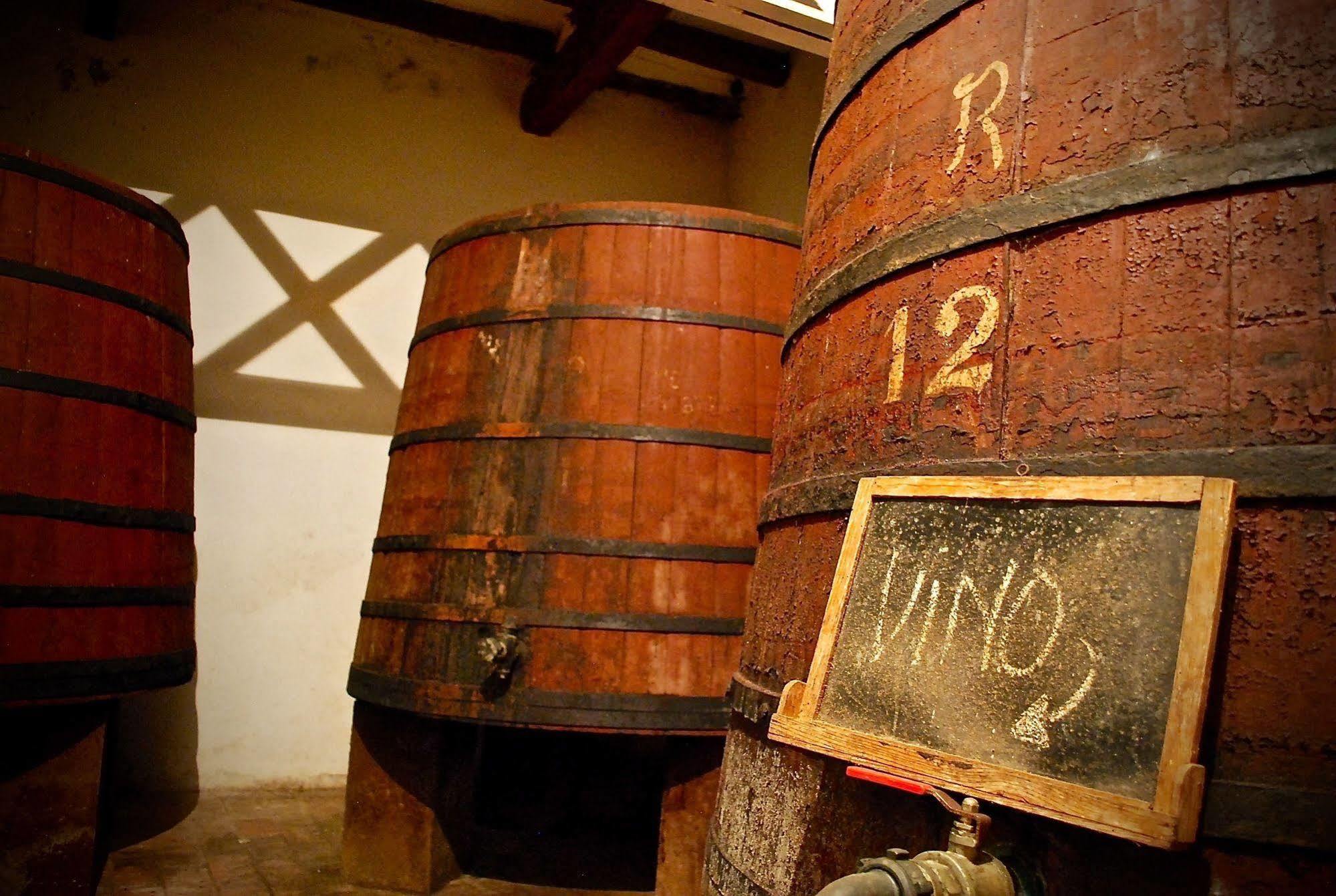Appartamento Castell de Riudabella Vimbodi I Poblet Esterno foto